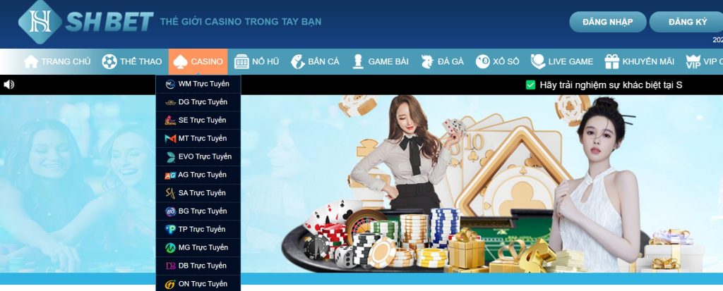 Những sảnh cược Live Casino Shbet hấp dẫn hàng đầu