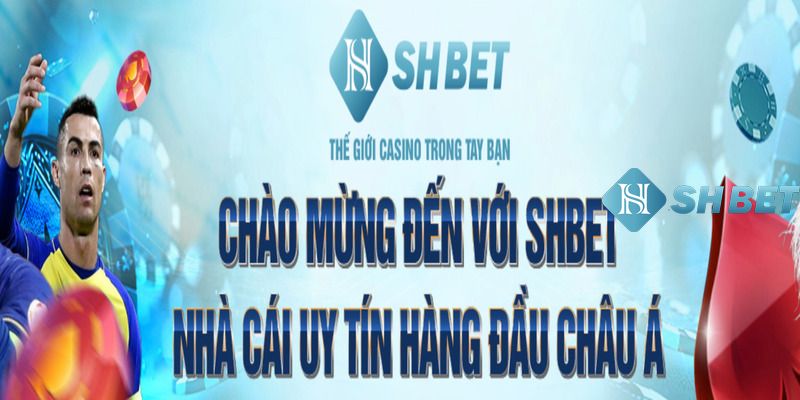 Giới thiệu Shbet là tổ hợp cá cược giải trí hợp pháp, đẳng cấp hàng đầu